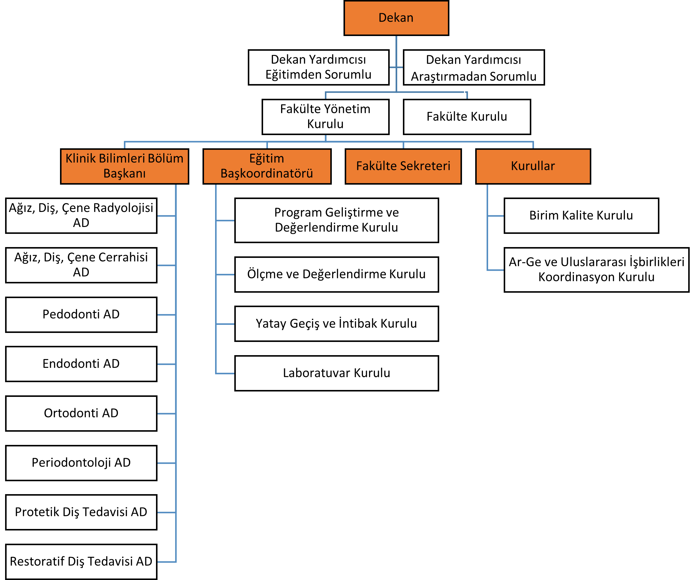 Fakülte Organizasyon Şeması